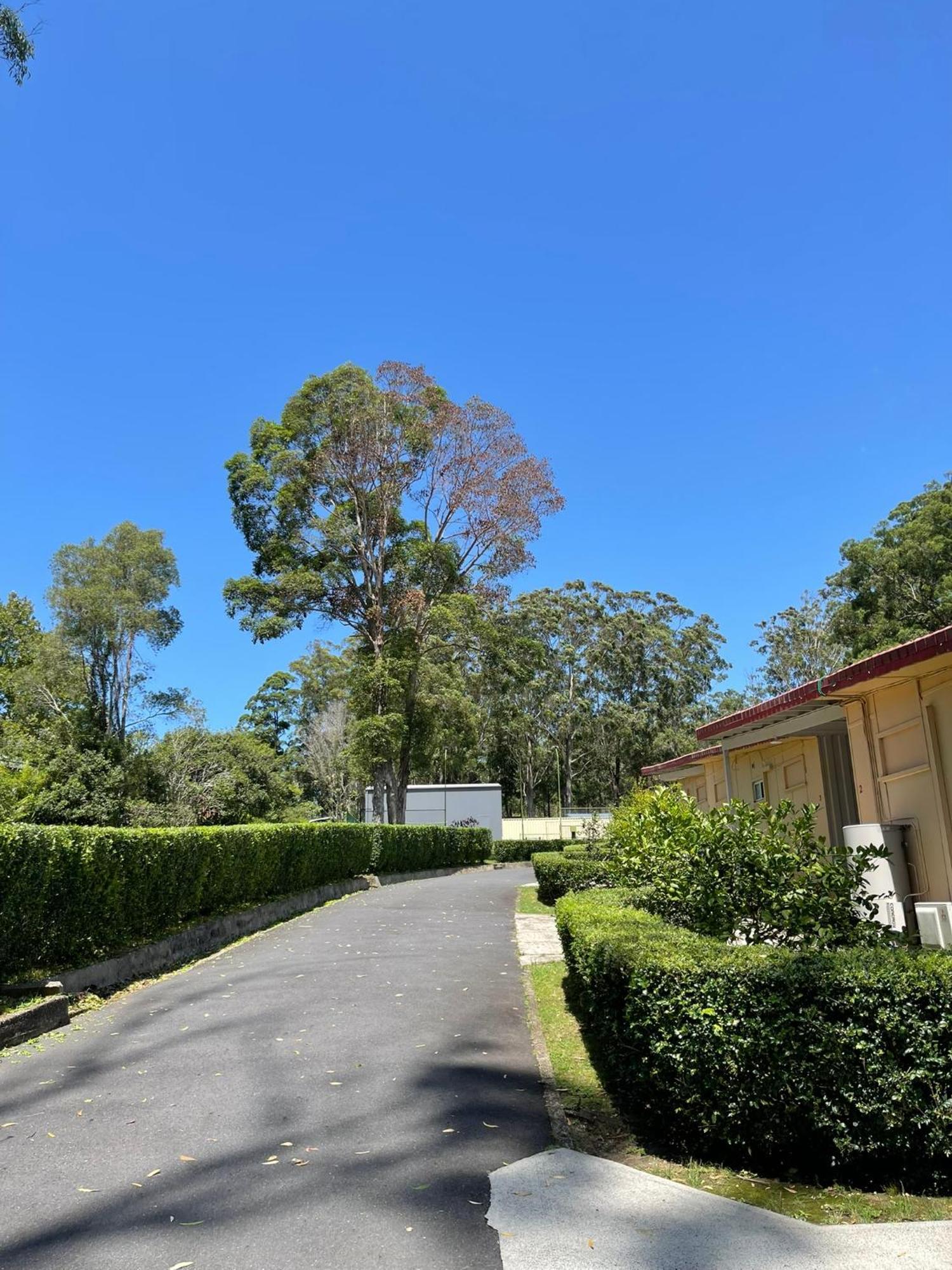 麦捷英尼斯汽车旅馆 麦夸里港 外观 照片