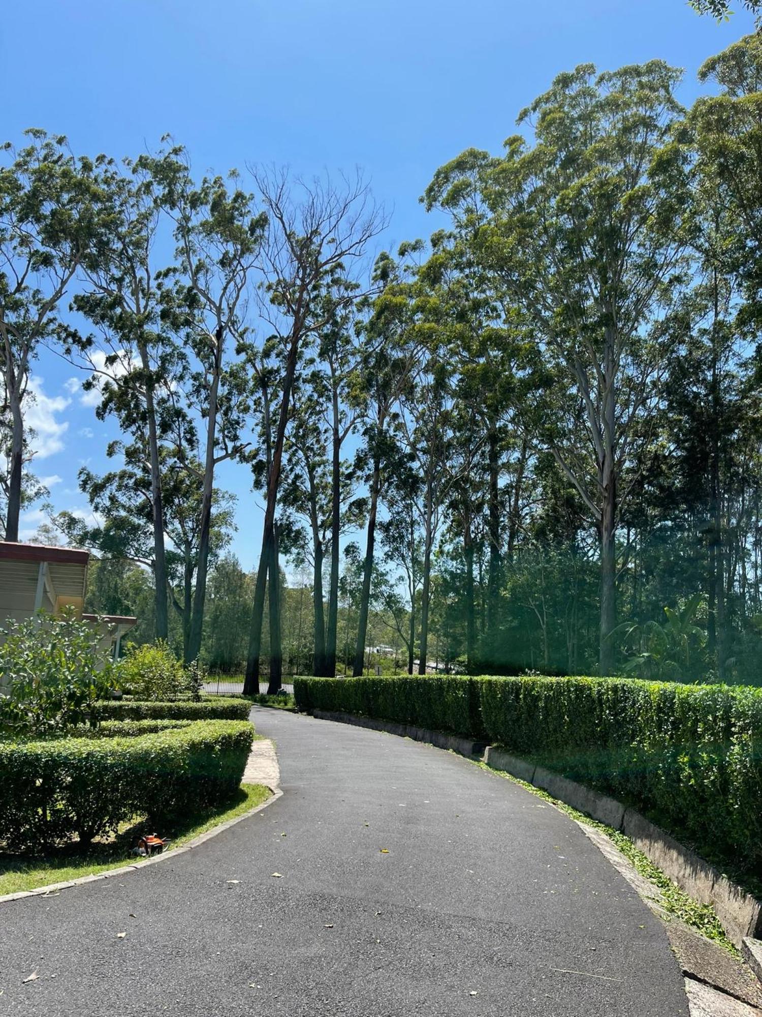 麦捷英尼斯汽车旅馆 麦夸里港 外观 照片