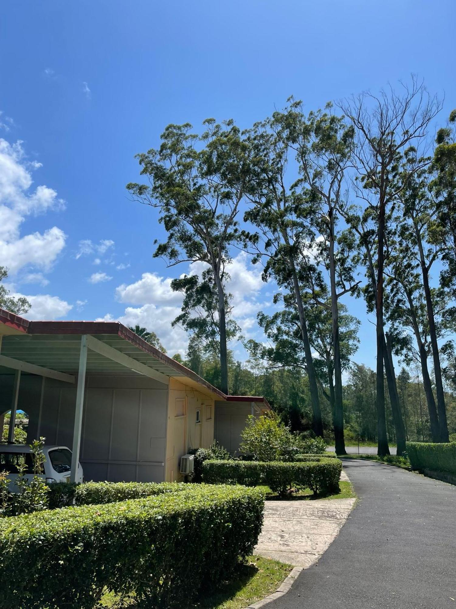 麦捷英尼斯汽车旅馆 麦夸里港 外观 照片